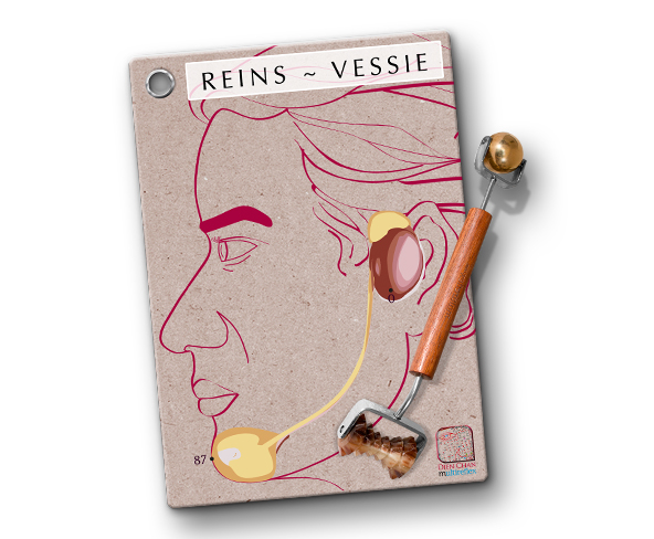 relation oreille vessie